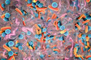 biofilm