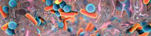 biofilm